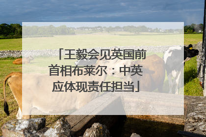 王毅会见英国前首相布莱尔：中英应体现责任担当