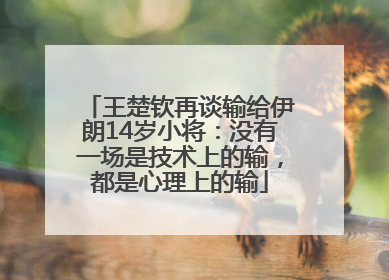 王楚钦再谈输给伊朗14岁小将：没有一场是技术上的输，都是心理上的输