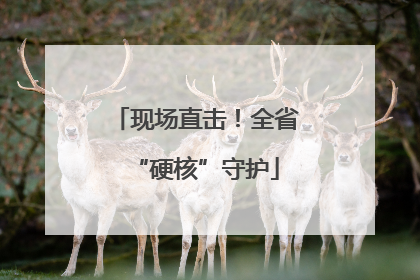 现场直击！全省“硬核”守护