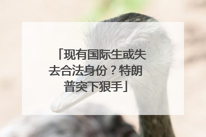 现有国际生或失去合法身份？特朗普突下狠手
