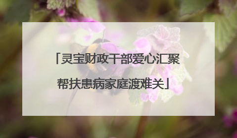 灵宝财政干部爱心汇聚 帮扶患病家庭渡难关