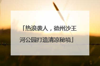 热浪袭人，德州沙王河公园打造清凉秘境