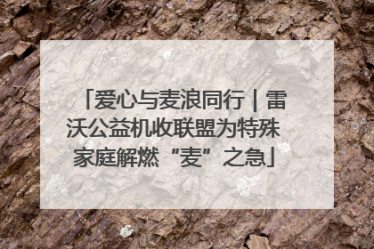 爱心与麦浪同行｜雷沃公益机收联盟为特殊家庭解燃“麦”之急