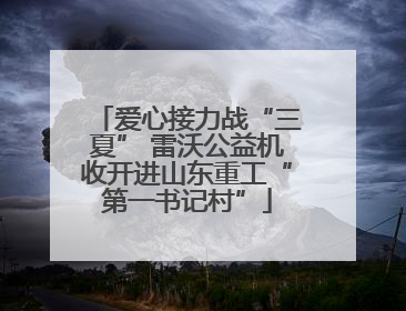 爱心接力战“三夏” 雷沃公益机收开进山东重工“第一书记村”