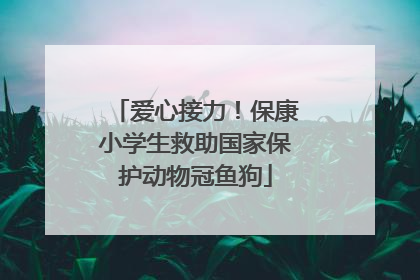 爱心接力！保康小学生救助国家保护动物冠鱼狗