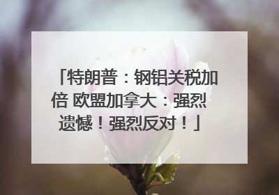 特朗普：钢铝关税加倍 欧盟加拿大：强烈遗憾！强烈反对！