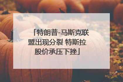 特朗普-马斯克联盟出现分裂 特斯拉股价承压下挫