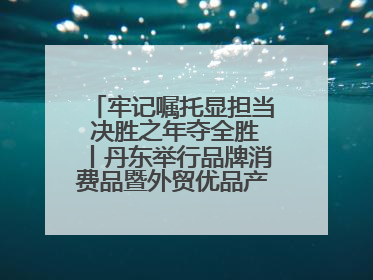 牢记嘱托显担当 决胜之年夺全胜丨丹东举行品牌消费品暨外贸优品产销对接大会