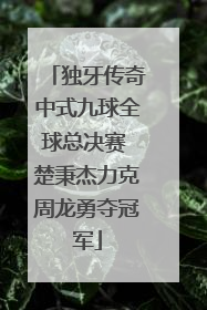 独牙传奇中式九球全球总决赛 楚秉杰力克周龙勇夺冠军