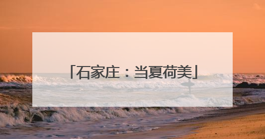 石家庄：当夏荷美