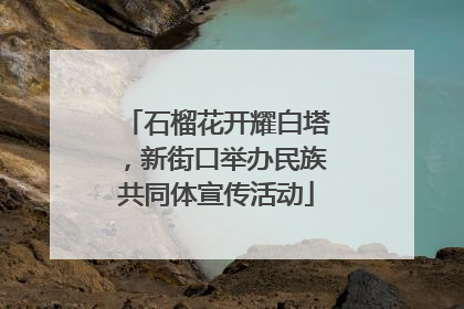 石榴花开耀白塔，新街口举办民族共同体宣传活动