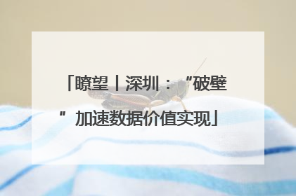 瞭望丨深圳：“破壁”加速数据价值实现