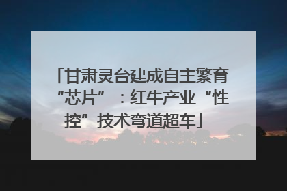 甘肃灵台建成自主繁育“芯片”：红牛产业“性控”技术弯道超车