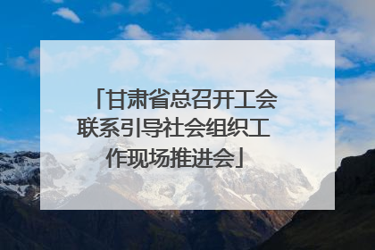 甘肃省总召开工会联系引导社会组织工作现场推进会