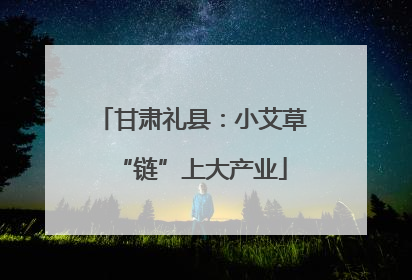 甘肃礼县：小艾草“链”上大产业