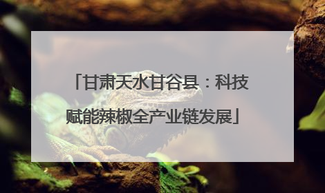 甘肃天水甘谷县：科技赋能辣椒全产业链发展