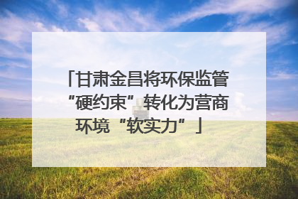 甘肃金昌将环保监管“硬约束”转化为营商环境“软实力”