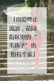 用爱终止流浪，花园街区里的“毛孩子”也想有个家