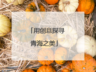 用创意探寻青海之美