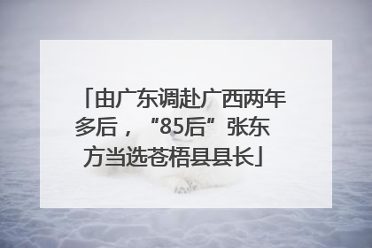 由广东调赴广西两年多后，“85后”张东方当选苍梧县县长