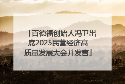 百德福创始人冯卫出席2025民营经济高质量发展大会并发言