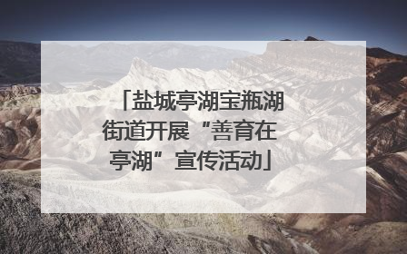 盐城亭湖宝瓶湖街道开展“善育在亭湖”宣传活动