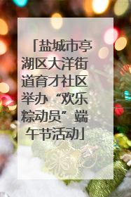 盐城市亭湖区大洋街道育才社区举办“欢乐粽动员”端午节活动