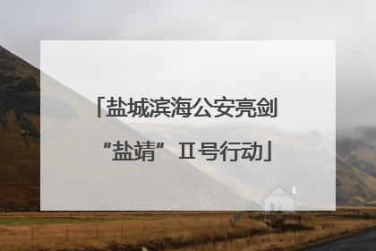 盐城滨海公安亮剑“盐靖”Ⅱ号行动