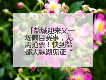 盐城迎来又一场瞩目赛事，无需抢票！快到盐都大纵湖见证“铁人”诞生