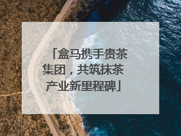 盒马携手贵茶集团，共筑抹茶产业新里程碑