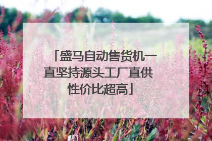 盛马自动售货机一直坚持源头工厂直供 性价比超高