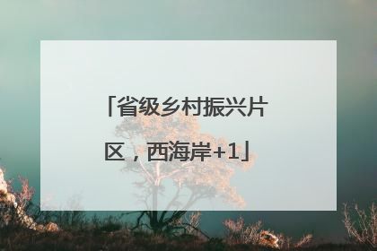 省级乡村振兴片区，西海岸+1