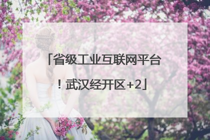 省级工业互联网平台！武汉经开区+2