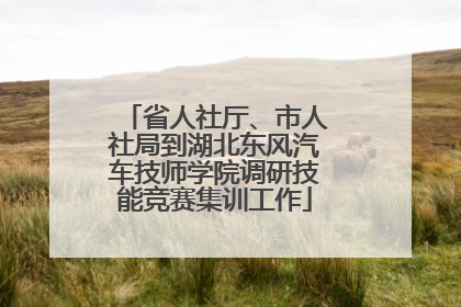 省人社厅、市人社局到湖北东风汽车技师学院调研技能竞赛集训工作