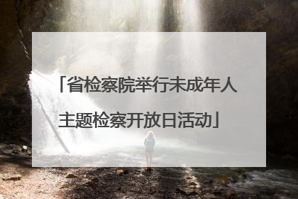 省检察院举行未成年人主题检察开放日活动