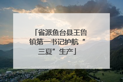 省派鱼台县王鲁镇第一书记护航“三夏”生产
