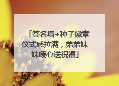 签名墙+种子徽章仪式感拉满，弟弟妹妹暖心送祝福
