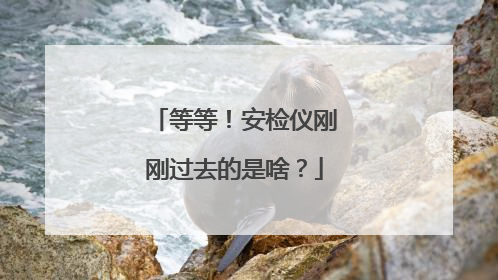 等等！安检仪刚刚过去的是啥？