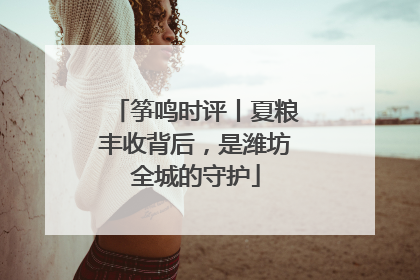 筝鸣时评丨夏粮丰收背后，是潍坊全城的守护