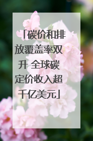 碳价和排放覆盖率双升 全球碳定价收入超千亿美元