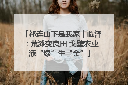祁连山下是我家｜临泽：荒滩变良田 戈壁农业添“绿”生“金”