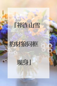 祁连山雪豹豺狼同框现身