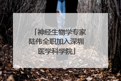 神经生物学专家陆伟全职加入深圳医学科学院
