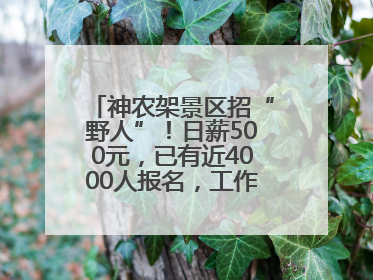 神农架景区招“野人”！日薪500元，已有近4000人报名，工作职责包括“接受游客投喂”