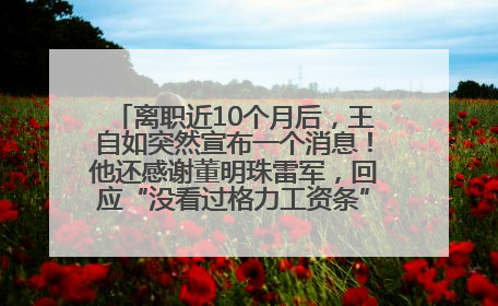 离职近10个月后，王自如突然宣布一个消息！他还感谢董明珠雷军，回应“没看过格力工资条”：真的不那么重要！