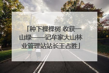 种下棵棵树 收获一山绿——记牟家大山林业管理站站长王占胜