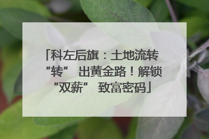 科左后旗：土地流转 “转” 出黄金路！解锁 “双薪” 致富密码
