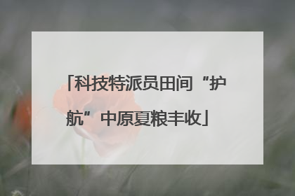 科技特派员田间“护航”中原夏粮丰收