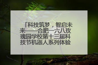 科技筑梦，智启未来——合肥一六八玫瑰园学校第十三届科技节机器人系列体验赛燃动校园