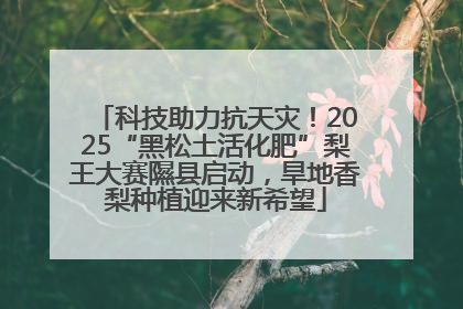 科技助力抗天灾！2025“黑松土活化肥”梨王大赛隰县启动，旱地香梨种植迎来新希望
